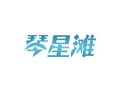 琴星滩 