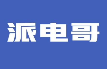 派电哥