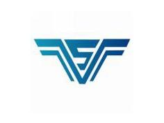 “V5”(威武) 图形