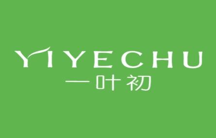 一叶初