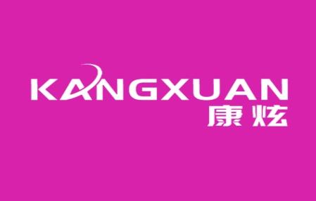 康炫