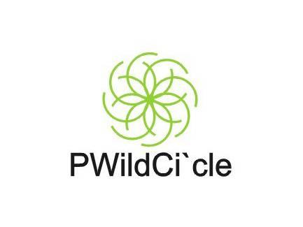 PWILDCI 'CLE+图形