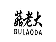 菇老大GULAODA