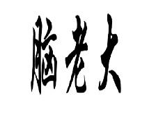 脑老大