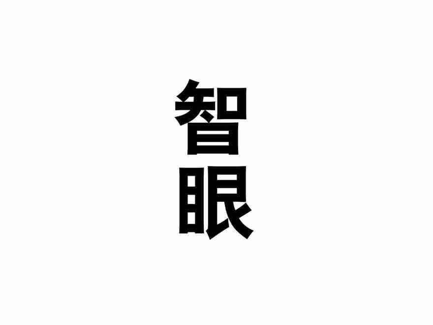 智眼