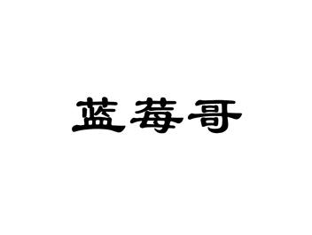 蓝莓哥