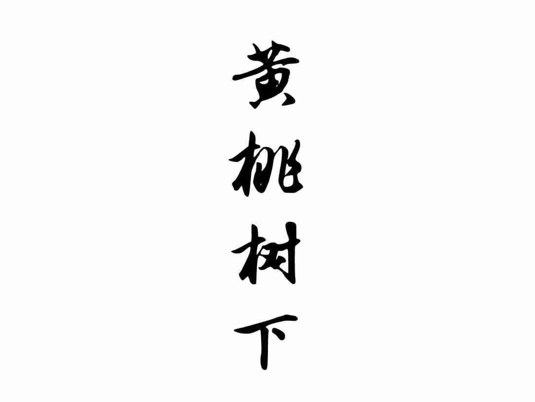 黄桃树下