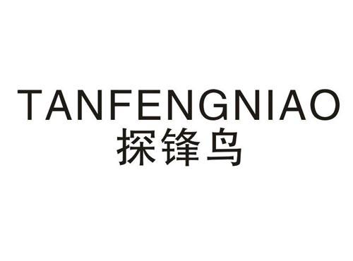 探锋鸟