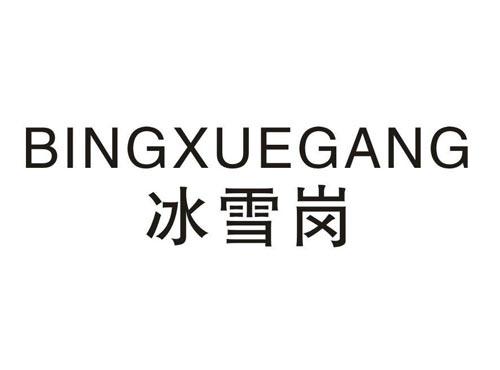 冰雪岗