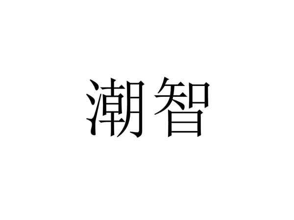潮智