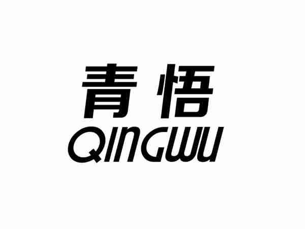 青悟+QINGWU