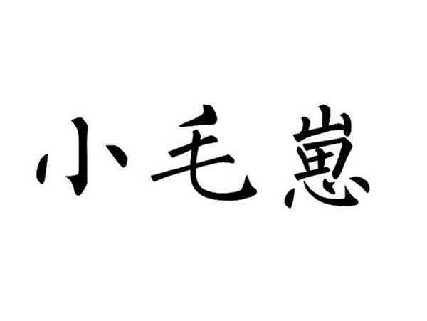 小毛崽
