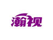 瀚视
