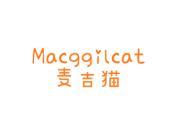 麦吉猫 MACGGILCAT