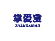 掌爱宝