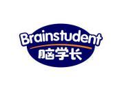 脑学长 BRAINSTUDENT