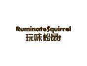 玩味松鼠 RUMINATE SQUIRREL