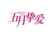 五月挚爱