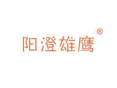 阳澄雄鹰