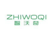 智沃奇