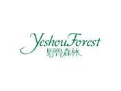 野兽森林 YESHOUFOREST