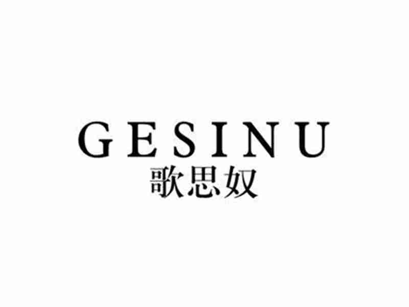 歌思奴GESINU