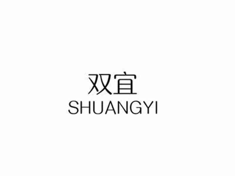 双宜SHUANGYI