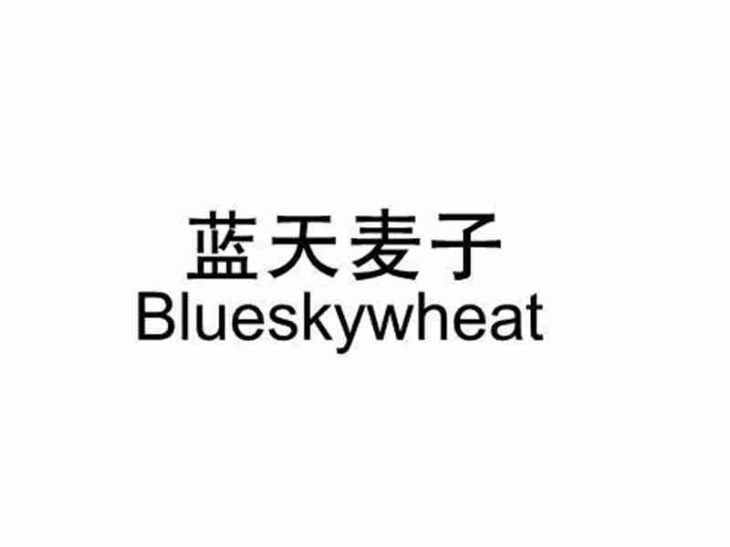 蓝天麦子BLUESKYWHEAT