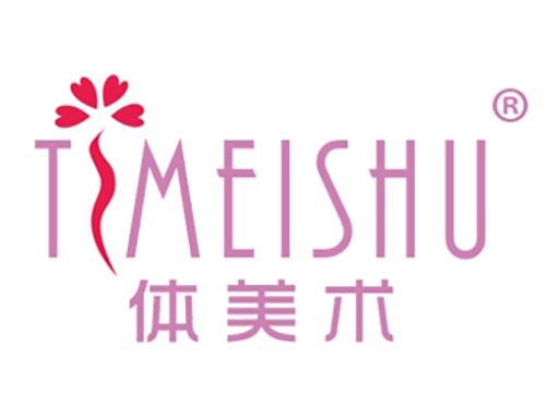 体美术