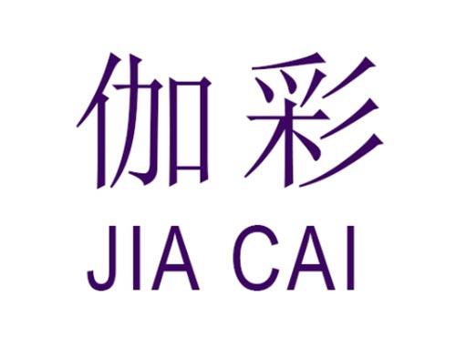 伽彩         JIA CAI