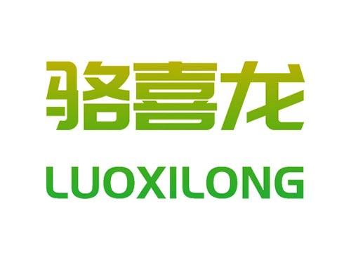 骆喜龙LUOXILONG