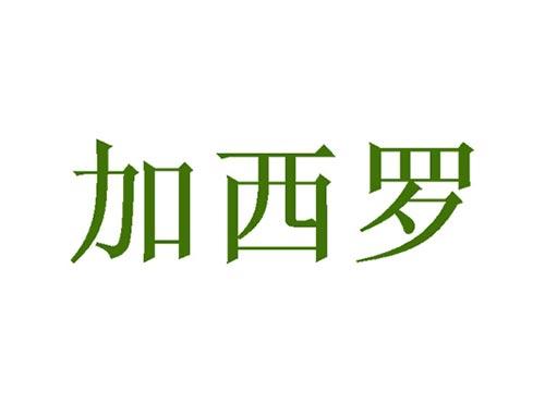 加西罗20/21同名