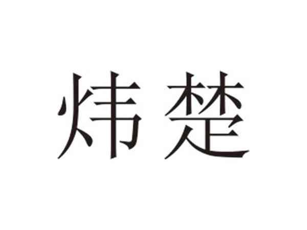 炜楚