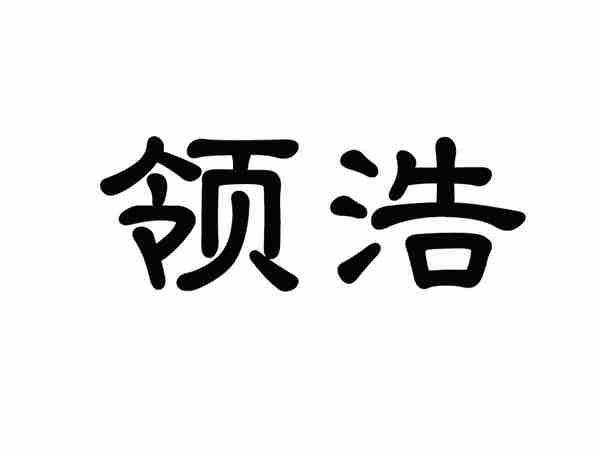 领浩
