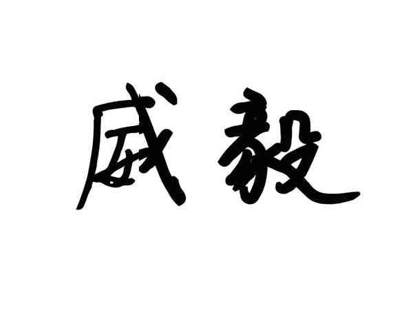 威毅