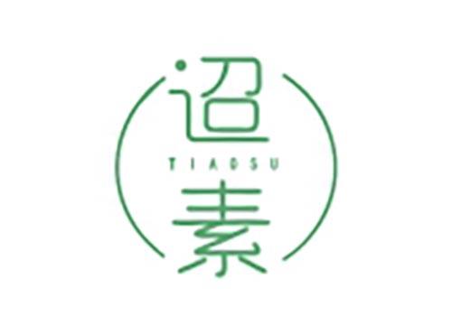 迢素