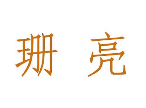 珊亮