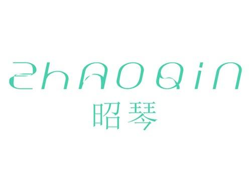 昭琴
ZHAOQIN