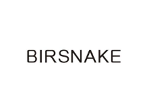 BIRSNAKE