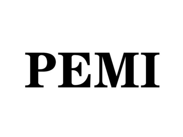 PEMI