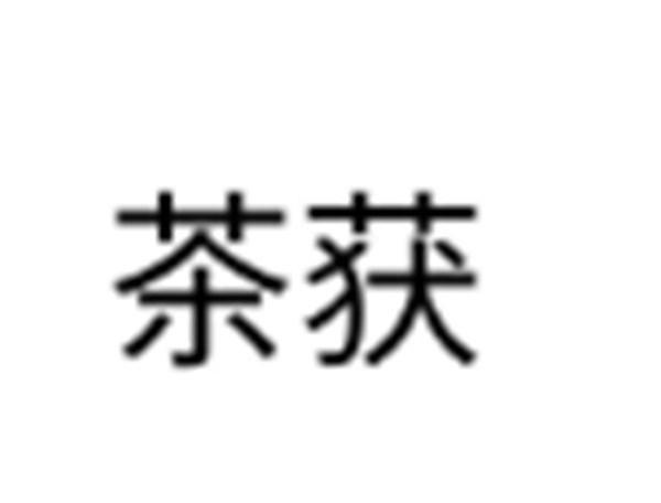 茶获
