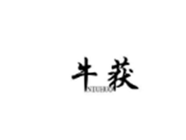 牛获