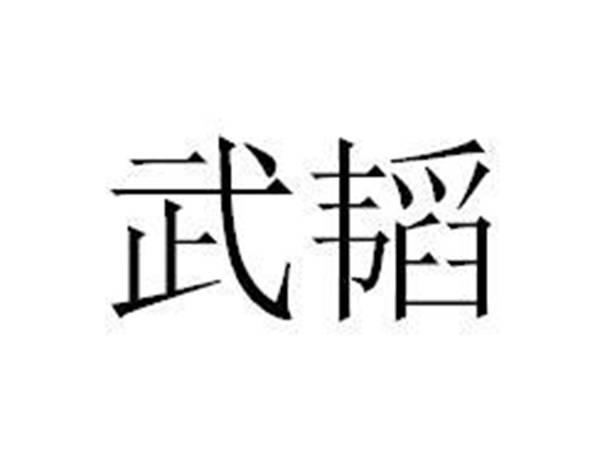 武韬