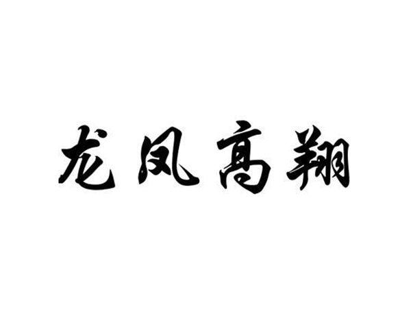 龙凤高翔