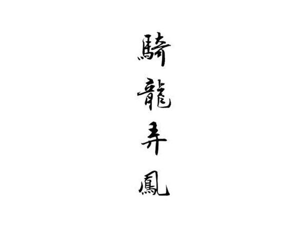 骑龙弄凤