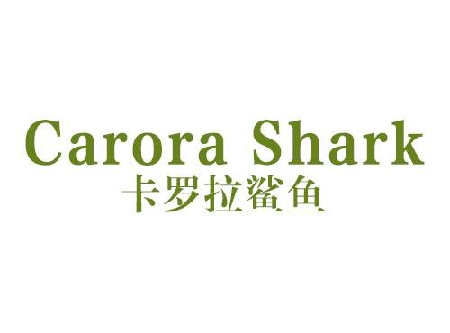 卡罗拉鲨鱼 CARORA SHARK