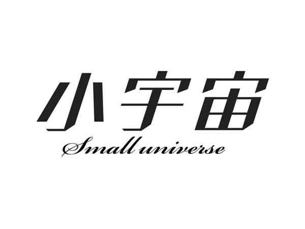 小宇宙SMALL,UNIVERSE