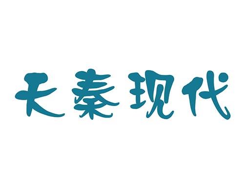 天秦现代