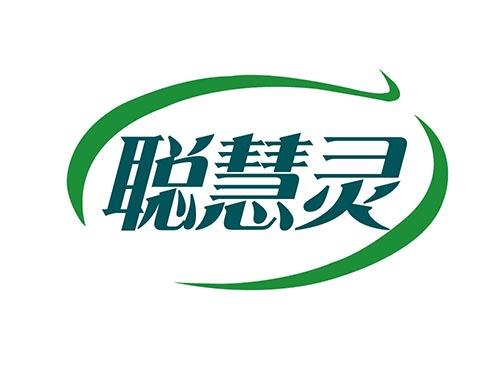 聪慧灵