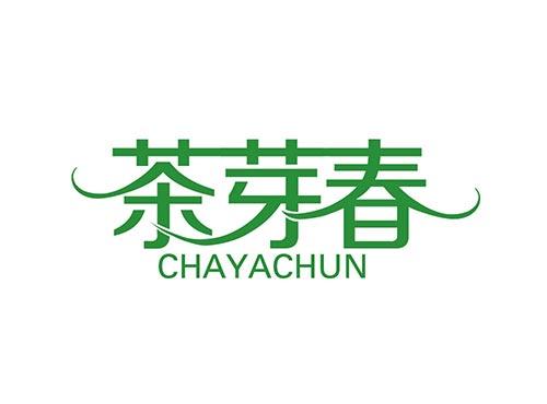茶芽春 CHAYACHUN